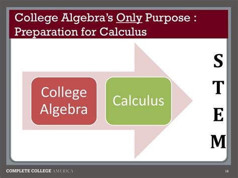 Calculus and College Algebra: The Gateway to Limitless Applications