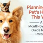 Animal Hospital of Eagle Glen: A Comprehensive Guide to Your Pet’s Healthcare Needs