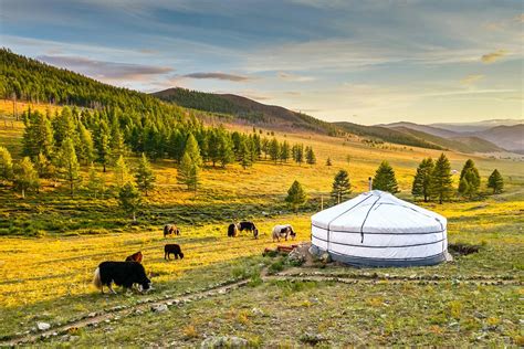 What Time Is It In Mongolia?