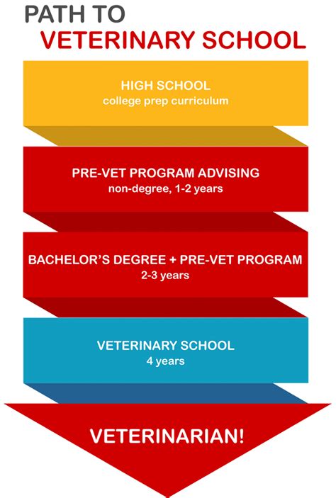 Best Pre-Veterinary Colleges for a Promising Career in Animal Care Table 1: Top Pre-Veterinary Colleges 2023 Table 2: Pre-Veterinary College Curriculum Requirements Table 3: Common Mistakes to Avoid when Choosing a Pre-Veterinary College Table 4: Effective Strategies for Success in Pre-Veterinary College