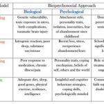 The 4 P’s in Psychiatry: A Comprehensive Guide Components of the 4 P’s Using the 4 P’s in Practice Conclusion Additional Resources