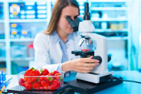 What Does a Food Scientist Do?