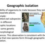 Geographical Isolation: Understanding the Biological Consequences of Separation