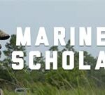 Marine Corps Scholarships for High School Seniors: Secure Your Future with Elite Education