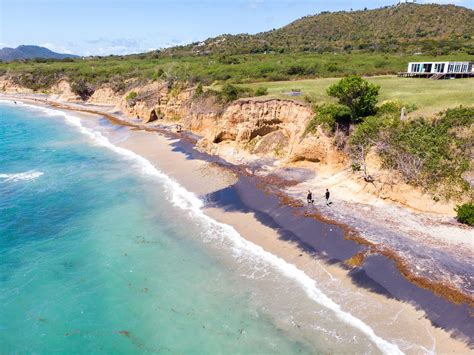 Day Trip to Vieques: A Serene Escape to Puerto Rico’s Hidden Gem