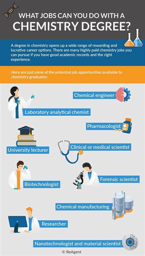 Chemistry Degree Jobs: A Promising Path to a Rewarding Career