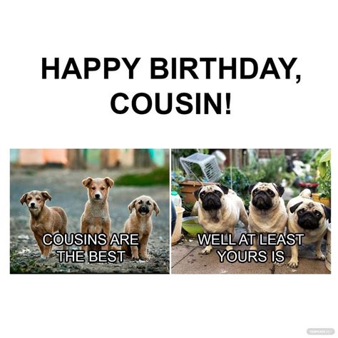 Happy Birthday, Cousin! Hilarious Memes to Brighten Their Special Day Table 1: Funny Birthday Memes for Cousins Table 2: Relatable Birthday Memes for Cousins Table 3: Wise Birthday Memes for Cousins Table 4: Creative Birthday Memes for Cousins