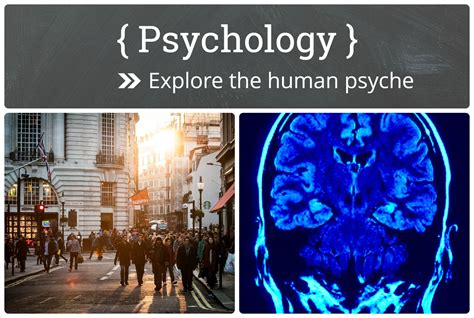 Our Personality Chemistry Quiz: Delve into the Depths of Your Psyche
