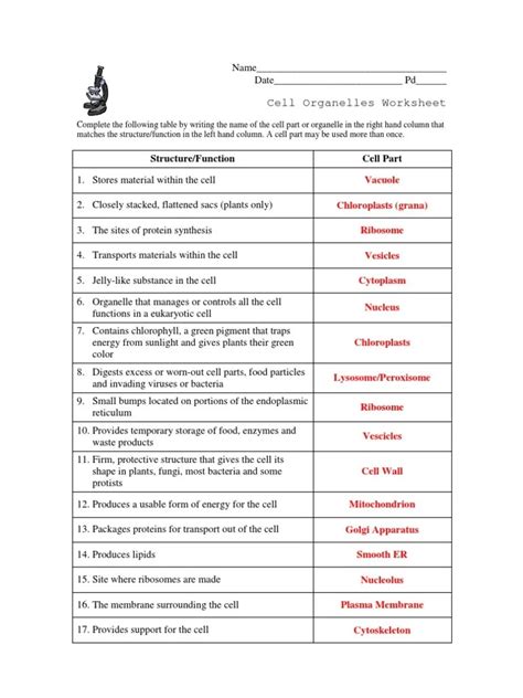 Unit Two Cell Energy Topic List Answer Key