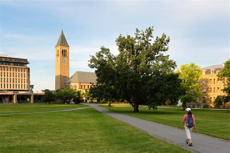 Cornell Sorority Rankings: A Comprehensive Guide