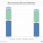 UD Mercy Tuition: A Comprehensive Analysis