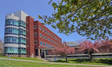 Brandeis University: Unveiling a Hub of Academic Excellence and Social Innovation