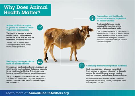 Huber Animal Health: Advancing Animal Well-being and Food Production