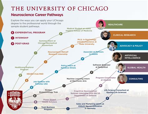 Neuroscience: A Gateway to a Multitude of Career Paths
