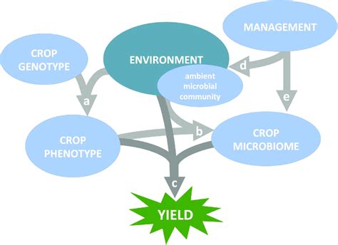 Environmental Variables: Unveiling Their Impact on Crop Genotype by Environment Interactions