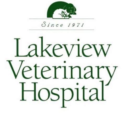 Lakeview Veterinary Hospital: A Comprehensive Guide to Your Pet’s Health and Well-being in New Orleans, LA