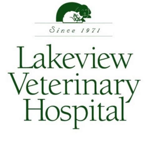 Lakeview Veterinary Hospital: A Comprehensive Guide to Your Pet’s Health and Well-being in New Orleans, LA