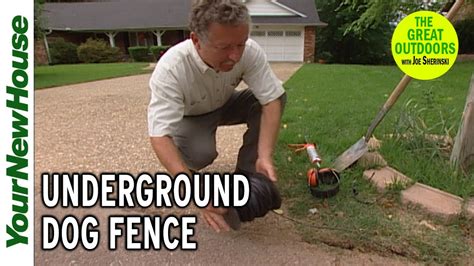 Invisible Dog Fence Wire: Unveil the Ultimate Pet Containment Solution