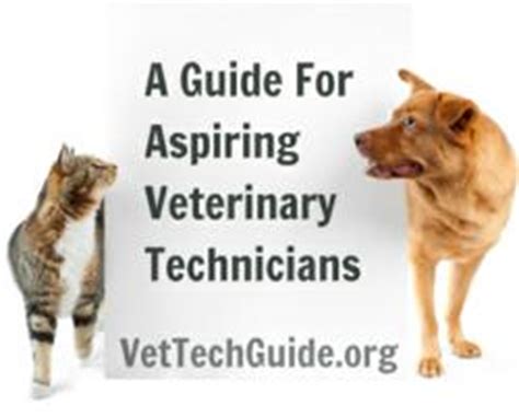 Good Vet Schools: A Comprehensive Guide for Aspiring Veterinarians