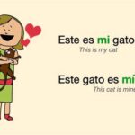 What is My in Spanish? When to Use “Mi” vs. “Mis” Examples of “Mi” and “Mis” in Sentences Other Possessive Adjectives in Spanish Using Possessive Adjectives with Nouns Using Possessive Adjectives with Pronouns Common Mistakes with Possessive Adjectives Practice Exercises Conclusion