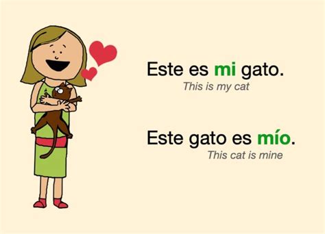 What is My in Spanish? When to Use “Mi” vs. “Mis” Examples of “Mi” and “Mis” in Sentences Other Possessive Adjectives in Spanish Using Possessive Adjectives with Nouns Using Possessive Adjectives with Pronouns Common Mistakes with Possessive Adjectives Practice Exercises Conclusion