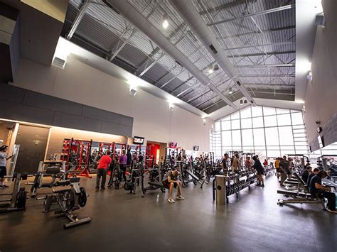 Brandeis University Gym: An Oasis of Fitness and Recreation