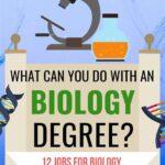 Biology BS Jobs: A Diverse Landscape of Opportunities