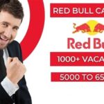 NY Red Bulls: Careers that Soar