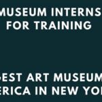 Explore a Fulfilling Journey: The Metropolitan Museum Internship Experience