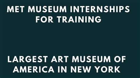 Explore a Fulfilling Journey: The Metropolitan Museum Internship Experience