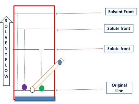 What is Solvent Front?