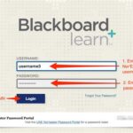 ACTX Blackboard Login: Accessing Online Learning with Ease