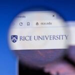 Early Decision Rice: A Comprehensive Guide to Success