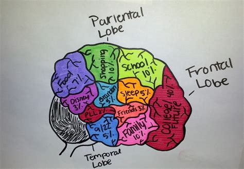 AP Psych Brain Project: Delving into the Enigma of the Human Mind