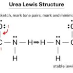 Urea Lewis Structure: A Comprehensive Guide