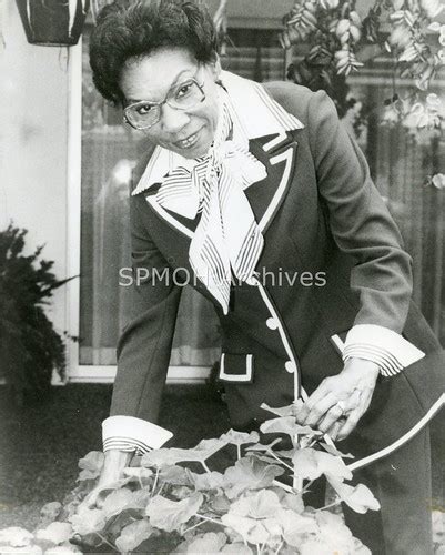 Johnnie Ruth Clarke: A Trailblazing Dental Pioneer Tables on Key Contributions and Impact FAQs