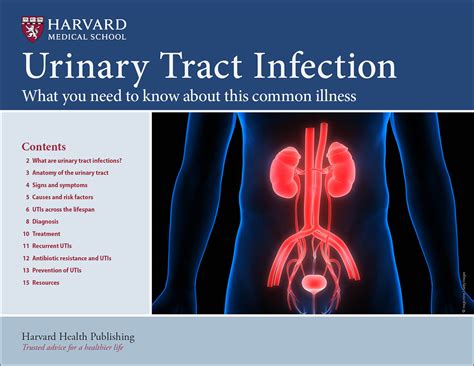 UTI Orlando FL: A Comprehensive Guide to Urinary Tract Infections in Orlando