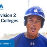 Best Division 2 Baseball Programs: A League of Their Own