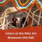 Denver Art Museum Internships: A Gateway to the Art World