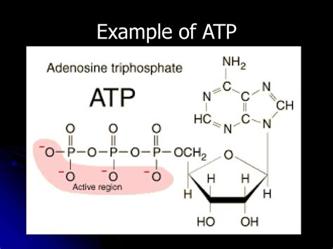 What Type of Macromolecule Is ATP?