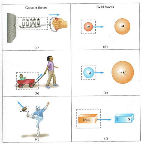 Introduction Types of Forces Interactions Between Forces Applications of Forces Study Guide Questions Answer Key Additional Resources