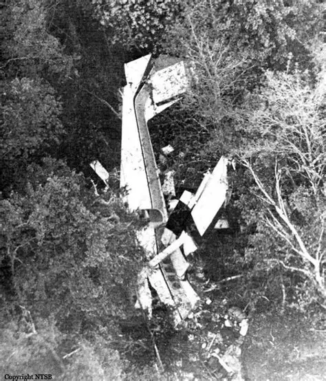 Flight 46 Dale Marks: A Cautionary Tale of Aviation Tragedy