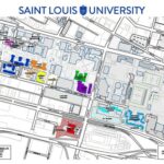 SLU Early Move-In: Everything You Need to Know