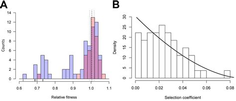 What Effect Do Mutations Have on Fitness?