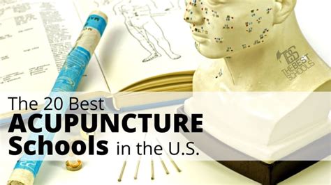 Acupuncture Schools in Texas: A Comprehensive Guide
