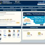 Trident International University Portal: A Comprehensive Guide