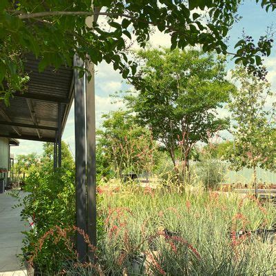 Newton Nursery Austin: A Comprehensive Guide to Childcare and Learning