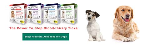 J and K’s Feed and Vet Supplies: Your One-Stop Shop for Pet Care