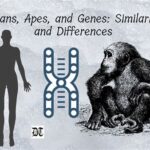 Unit 9 Apes: Embracing the Similarities and Differences