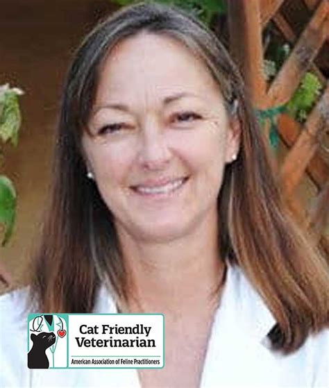 Lynn Wimmer, DVM: A Compassionate Leader in Veterinary Medicine